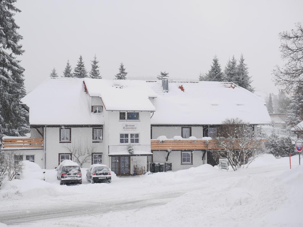 Pension Tannenheim Schluchsee Extérieur photo