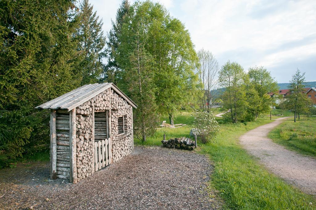 Pension Tannenheim Schluchsee Extérieur photo