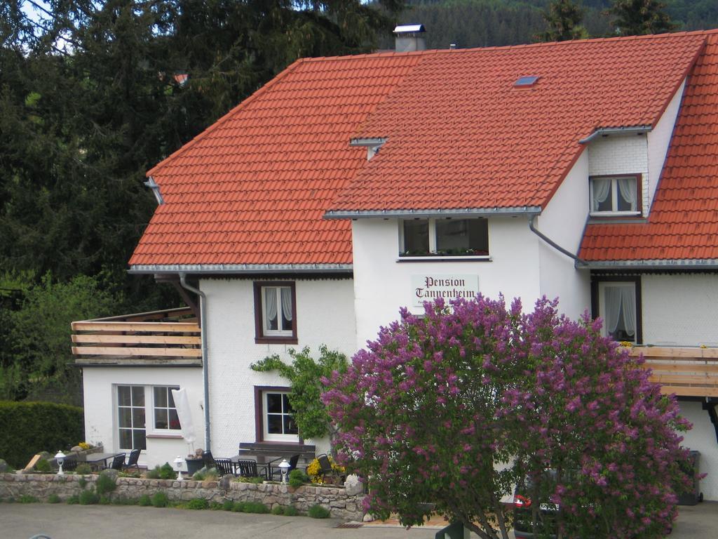 Pension Tannenheim Schluchsee Extérieur photo